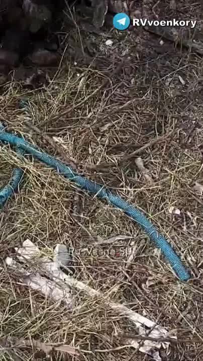������� �������: ���� ��� �����, ���������