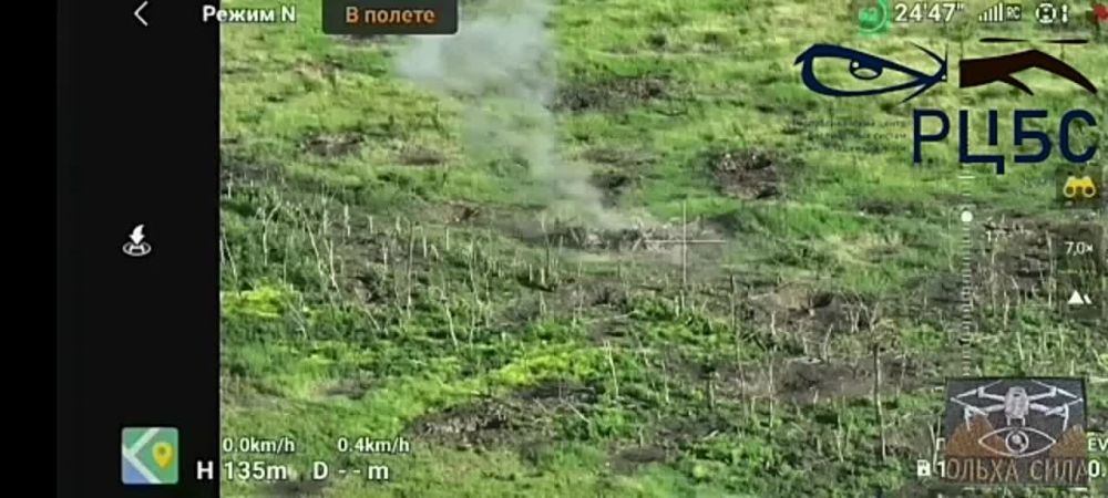 �������� ������ ������ ���� ������ ���� 33 ��������������� ����� �� ���������� �����������