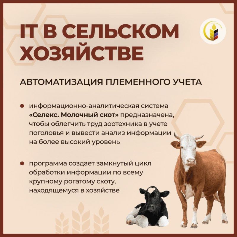 �� �������-�������� ������ ���������� ����� ����������� ������� ������� ������ � ������� IT