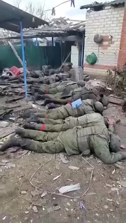 �� �� ������������� ����� ���, �������������� � ���� ������� � ��������