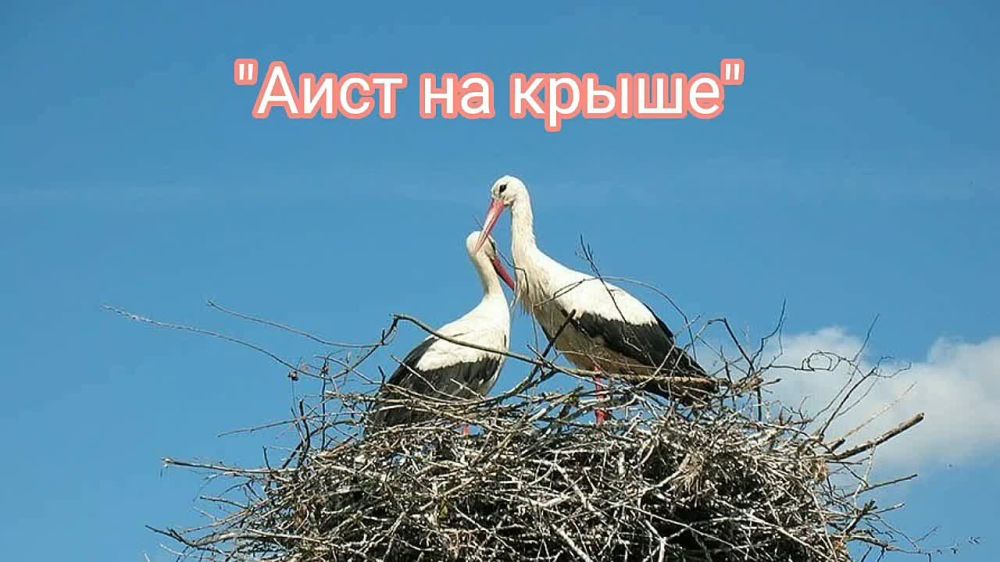 ��� "����������� ���"