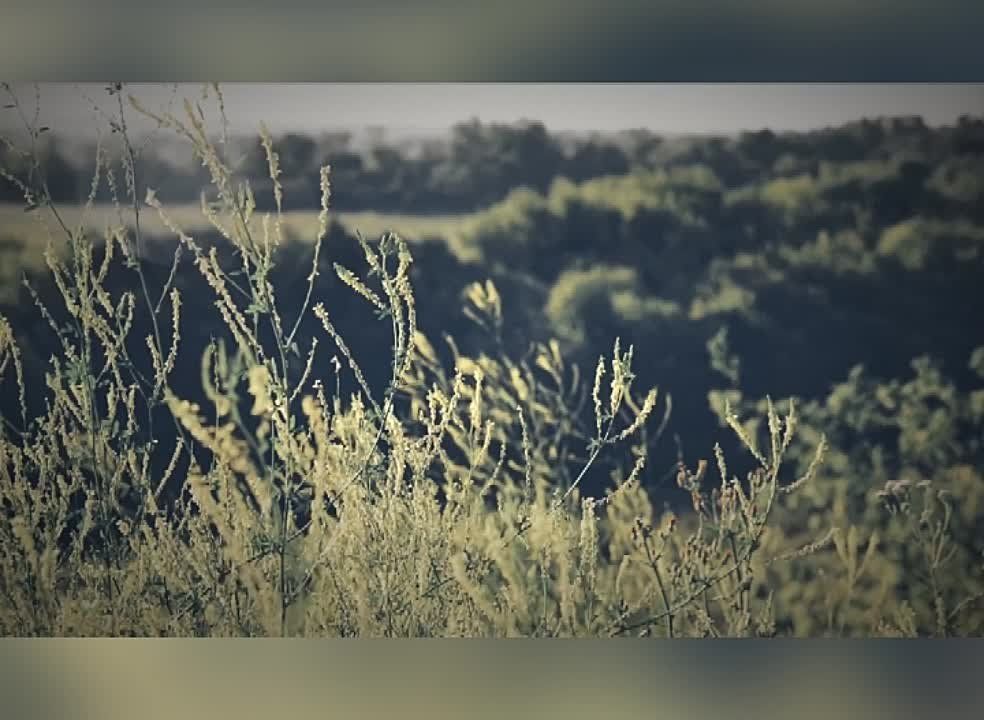 �. ������� �������. ����� ����� �� �������, ����� ������ ������� � ����, ������� ���������� ������� � �� �����, ������ �� ����� - ���� ��� � �������, ��� ������� ��� ������ ������� ���. �� ���� ���, �� ����� � ���, ��