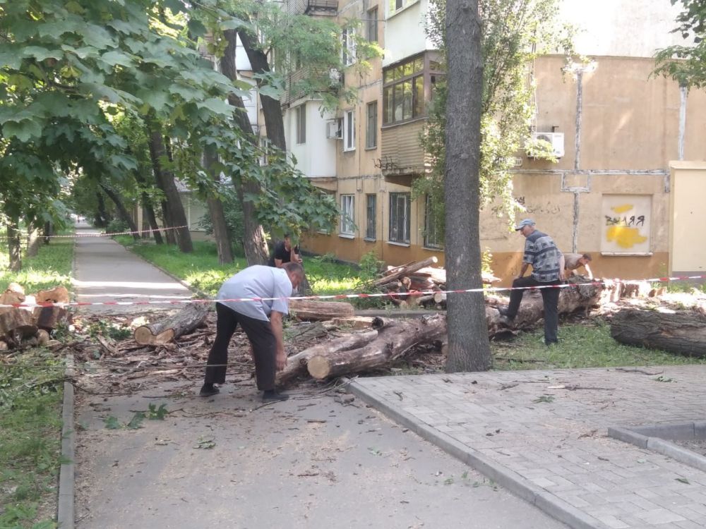 ������� ������: ������ �������������� ���������� ����������� "����������� �������� ������������ ������ �. �������" ��������� ������ �� ������������ ������� ����������, �������������� �� ���������� ���������� ������ ���� � 78 �� ��������� ������