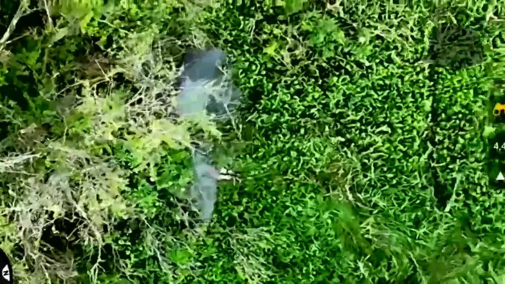 ��������� ����������� ��������� ��������� ����� ������������ ����������� 58 �����(������ 3 ����� �� ���)