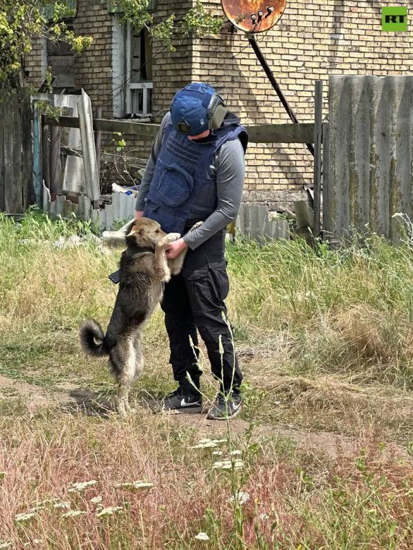 ����� �������: ������� ����� �������� � ���������������� ��������