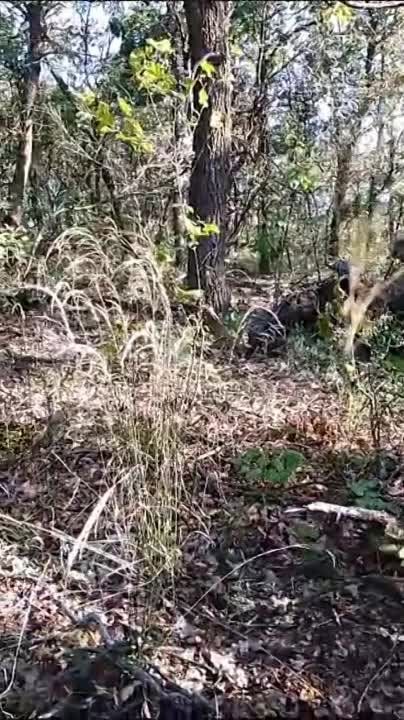 ��� ����� ����� 200-� ��������� ����������� �������������� ������� ��������� �����: