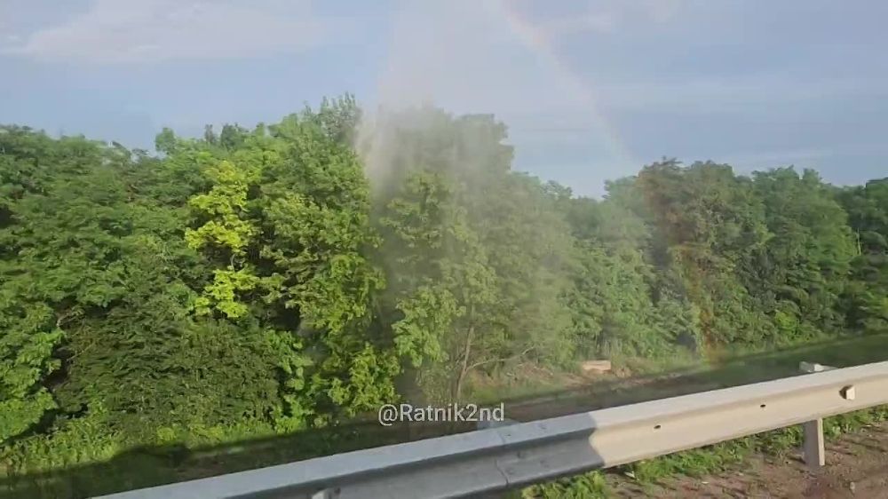 ������ ��������: ������� ������������ ������������ ��������� �� ����������� ��������������