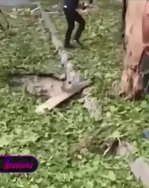 ����� � ����� ������� � �������