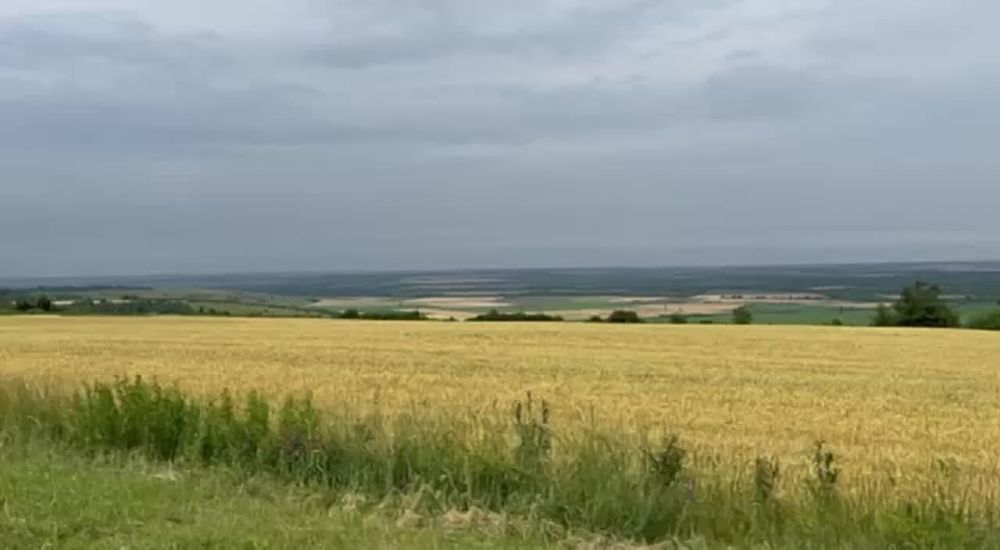 ����� �������: �������� ���������� �������� ���������� ������� � ��������� ������� � ������� �������� �������� ����������