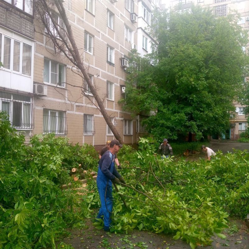 ������� ������: ������ �������������� ���������� ����������� "����������� �������� ������������ ������ �. �������" ������� ������ �� ������ �������� ������ �� ������ ��. �������, ��� 5 � ������������ ����������� (�����)