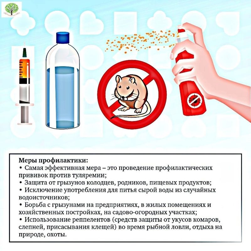 ������ ��������. ���������: ���� ������������