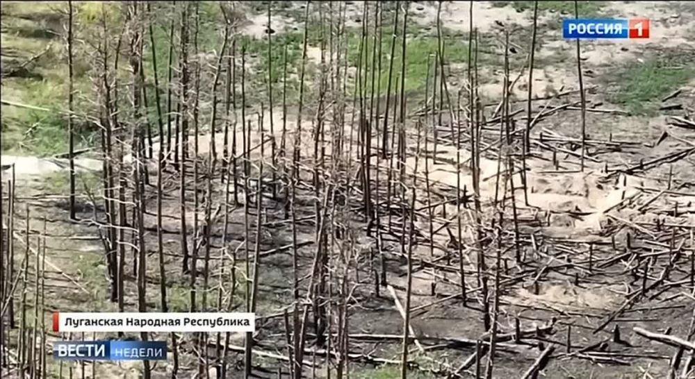 ������ ������ ������������� ���. �������� ������� ���������