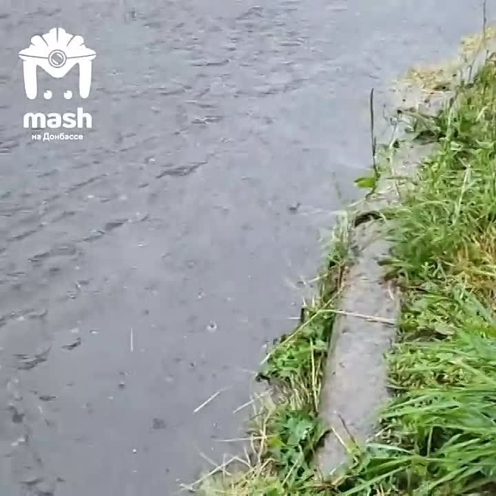 � ������� ���� ����, �� ���� �����
