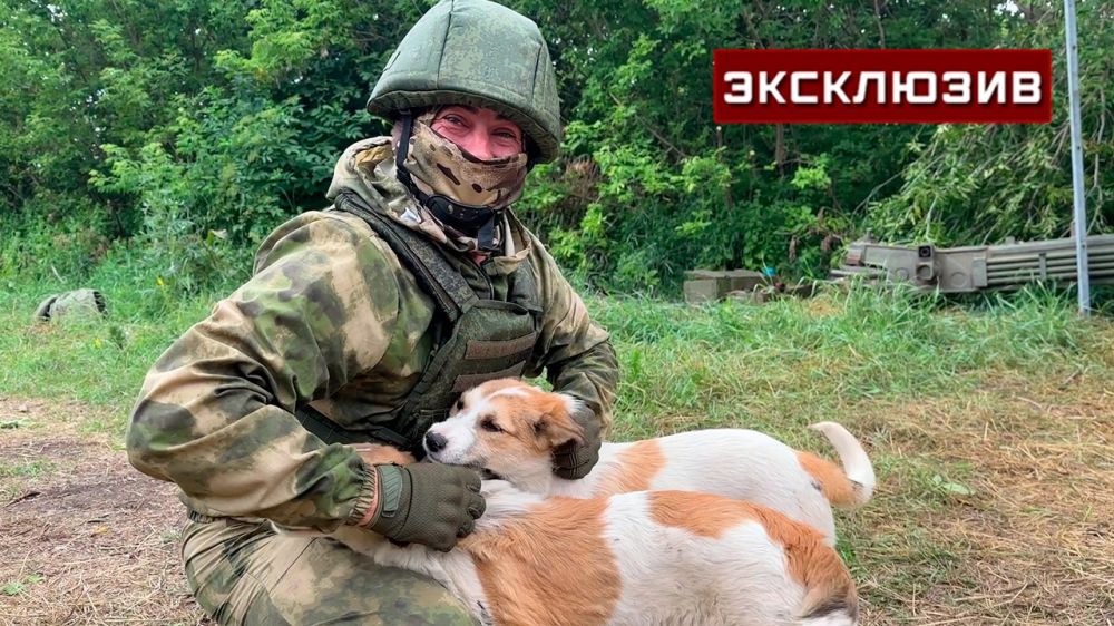 Бойцы прикормили собак на Авдеевском направлении, теперь они работают «звоночками»