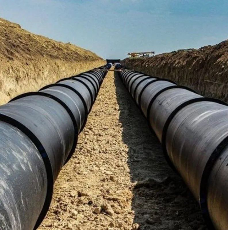 ���� ��������: � ���������� ������������ �������������� �������� ������������� � �������������