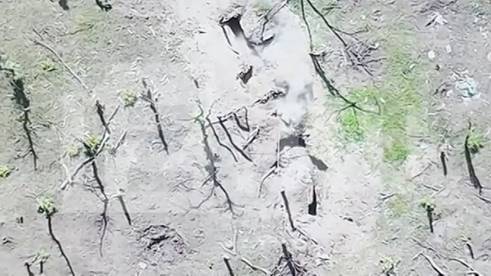 �� ������ � ������ �������� ��� �������� "�����" � ��������