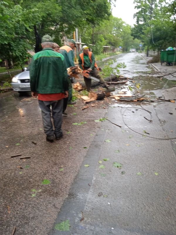 ������� ������: ������������� ��������� ������������ ������������� �. ������� "������� ������������� ������������ ������" ��������� ������ �� ������� ������� ����� �� ������ �� ����� ���������, 13