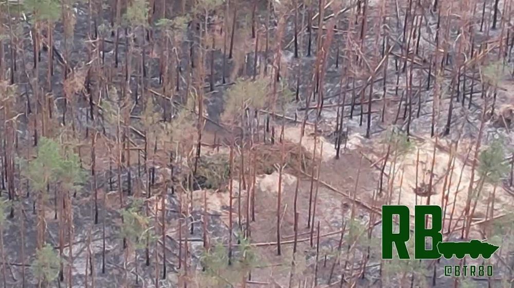 �� ��������������� ����������� ���� FPV ����� ���������� ���������� ��������� ������� ������