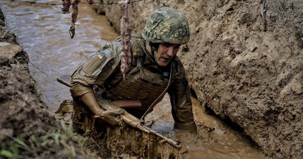 ��������������� ����� ������� ����������� ���