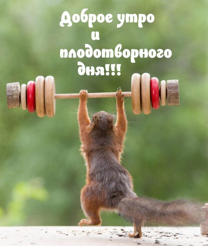 ������ ����, ������!. ����� ������������� ������������� ������ ��������� �� ����� ���������