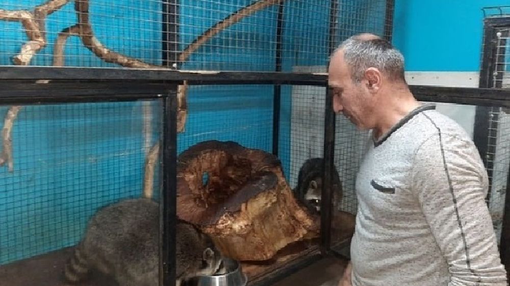 ������������ �������� ������� �� ���������� �������� ������� � ���������