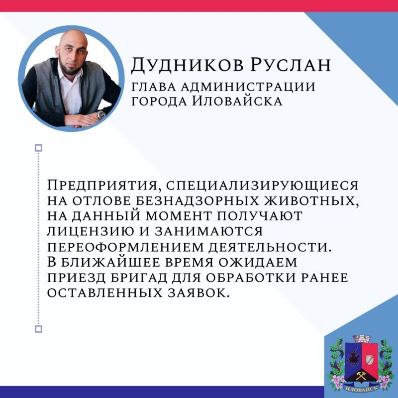 Руслан Дудников: О безнадзорных животных.