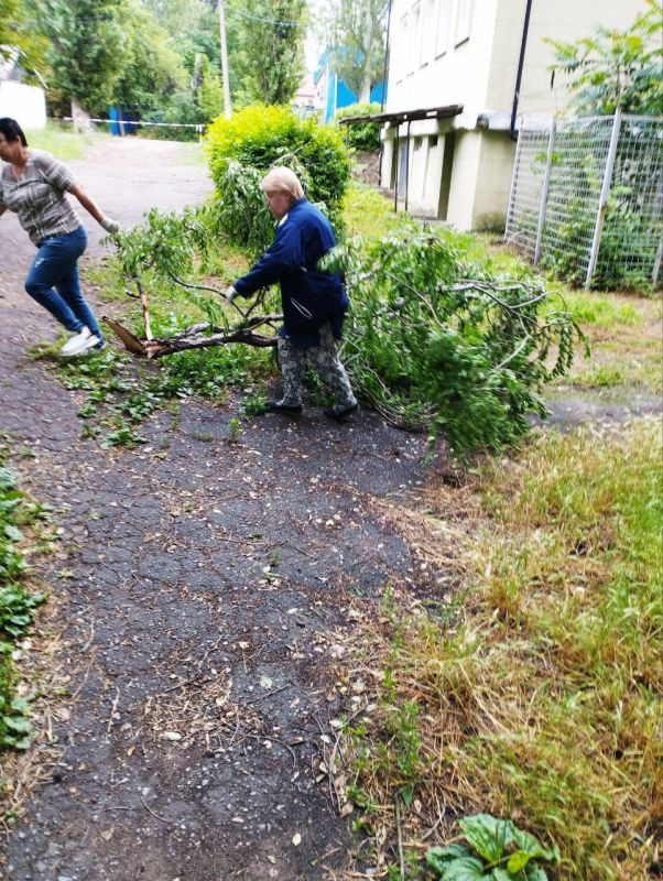 ������� ������: � �������, 29 ����, � ������ ���������� ����� ������� ������� ������ �����������, ���������� ������������ ������ �. ������� ������������ ������ � ��������� ������� � ������