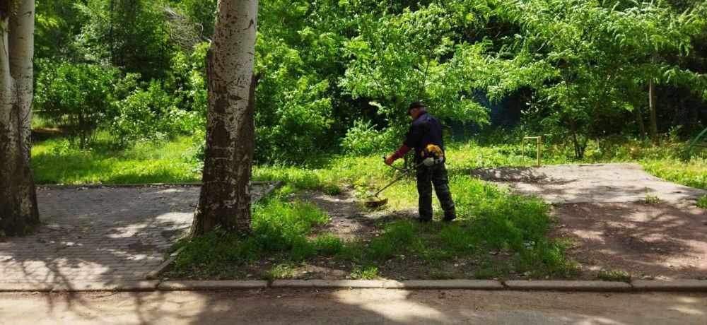 ������� ������: ������ �������������� ���������� ����������� "����������� �������� ������������ ������ �. �������" ������������ ������ �� ������ �����, �������������� �� ���������� ���������������� ������ �����