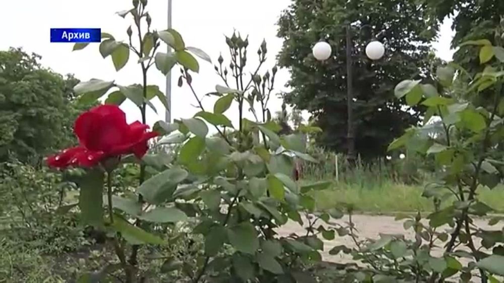 ����� ������� ������� ������� � ������� ������������� ���������� ��������� ������