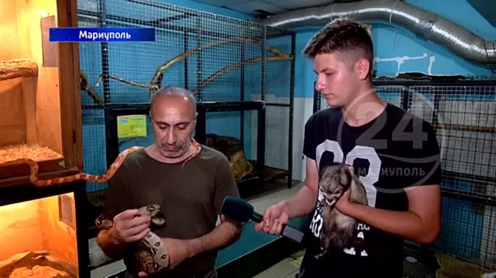 ������������ �������� � ���������! ������ ���������� �������� �������