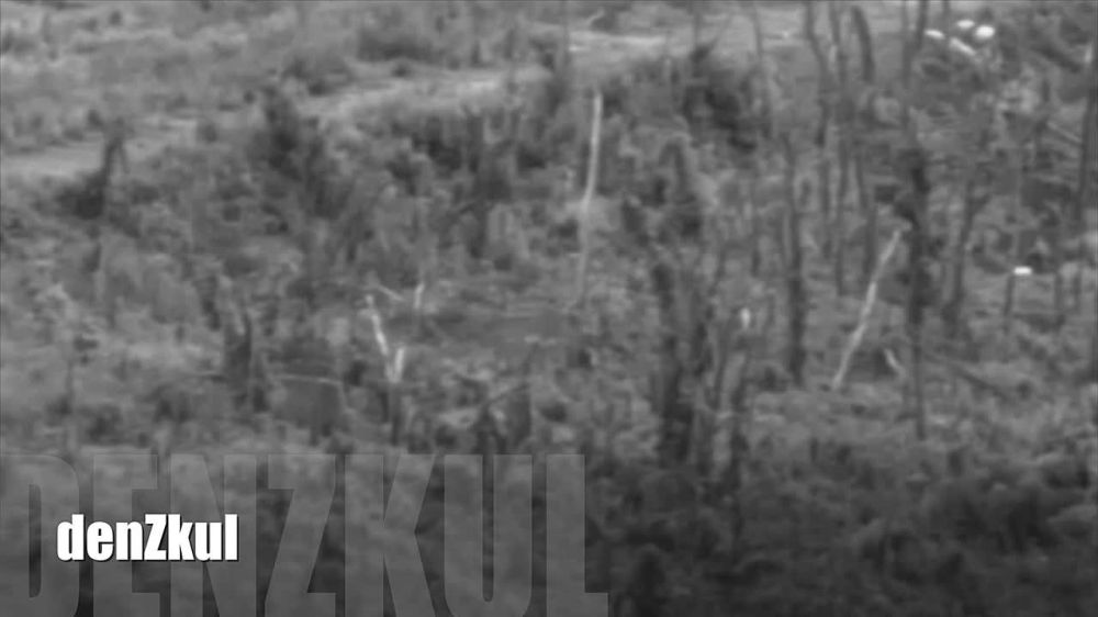 ����� ������: ����������� �����������, ����������� ���������