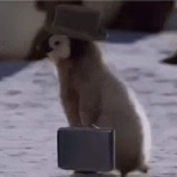 ������ ��������� ��� ���������� ����� 21 ���. ��������