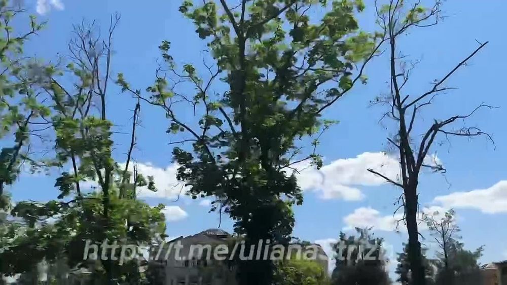 ������. �����- ������� � ���� ��������� � ������ �����, ��� �� ��� ��� ������ ������