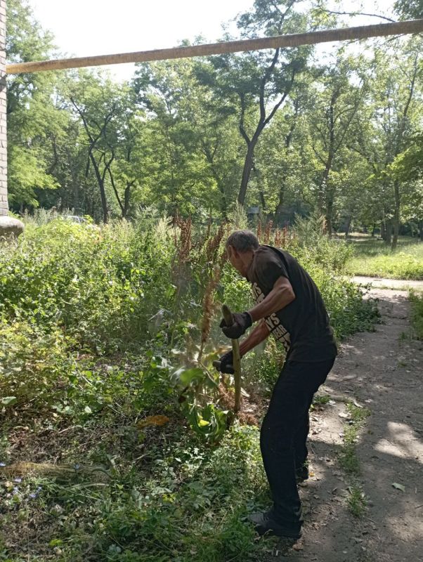 ������� ������: ������������ �������������� ���������� ����������� ������������� �. ������� "����������� �������� ������������ ������ �.�������" ������������ ����� ����� �� ���������� ���������� ���������������� ������ �����