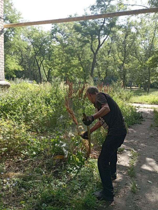 ������� ������: ������������ �������������� ���������� ����������� ������������� �. ������� "����������� �������� ������������ ������ �.�������" ������������ ����� ����� �� ���������� ���������� ���������������� ������ �����