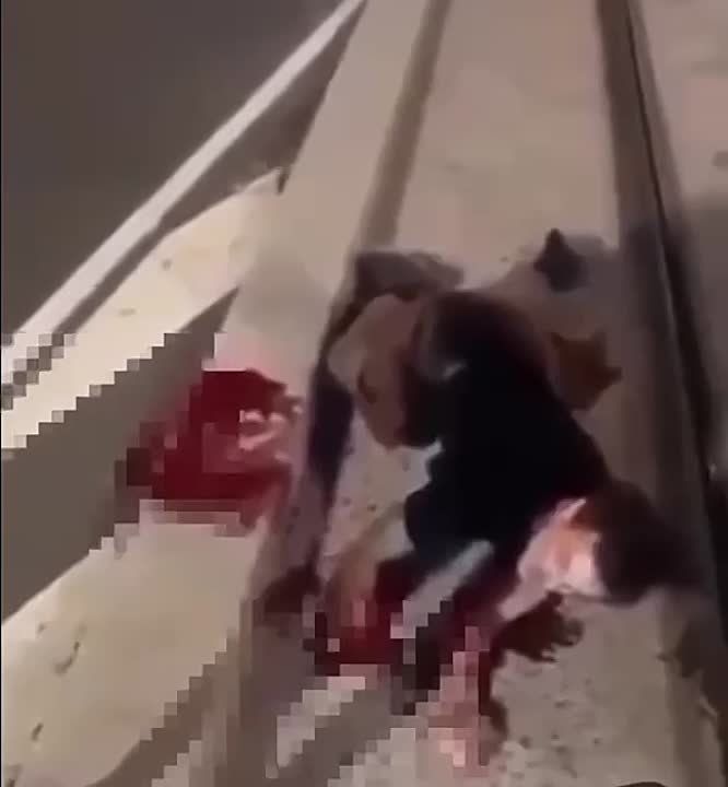 ���������� �������� �������� ��� ���� �� ����� ��������� �� ��, ��� �� ������� �������� ���� ������ �� ����������� ���������