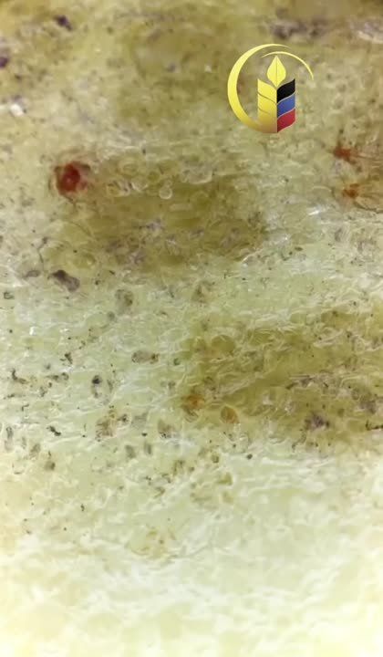 ����� ��� �����������. agropromdn | ��������