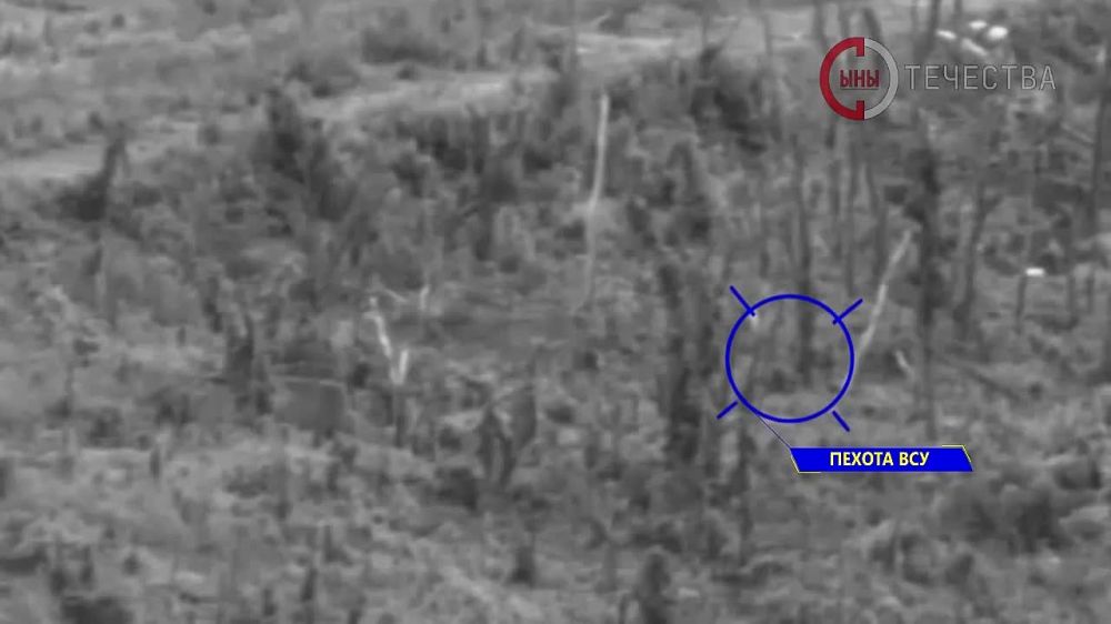 ���������� ������ ������ ����� ��� ��� ����������, ���� ����� ������