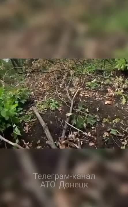 ���������� ������� �� 3 ��� ������ ��� ������ � ���� "�����"