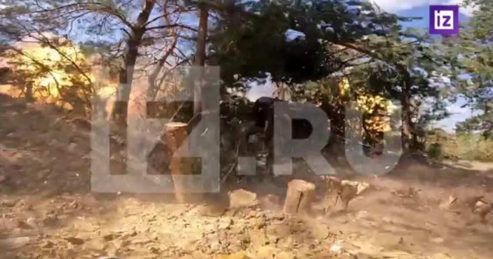 ����� ������ �� �������� ��� � ������ ������������� �����������