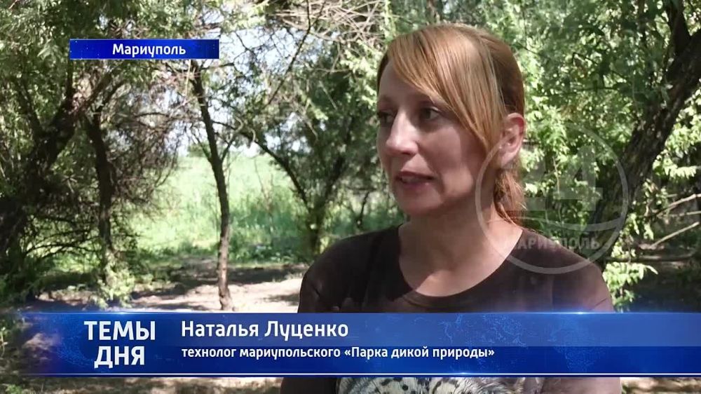 ���� ����� � ��������! � ������������� ����� ����� ������� ����������! 04.07.2023