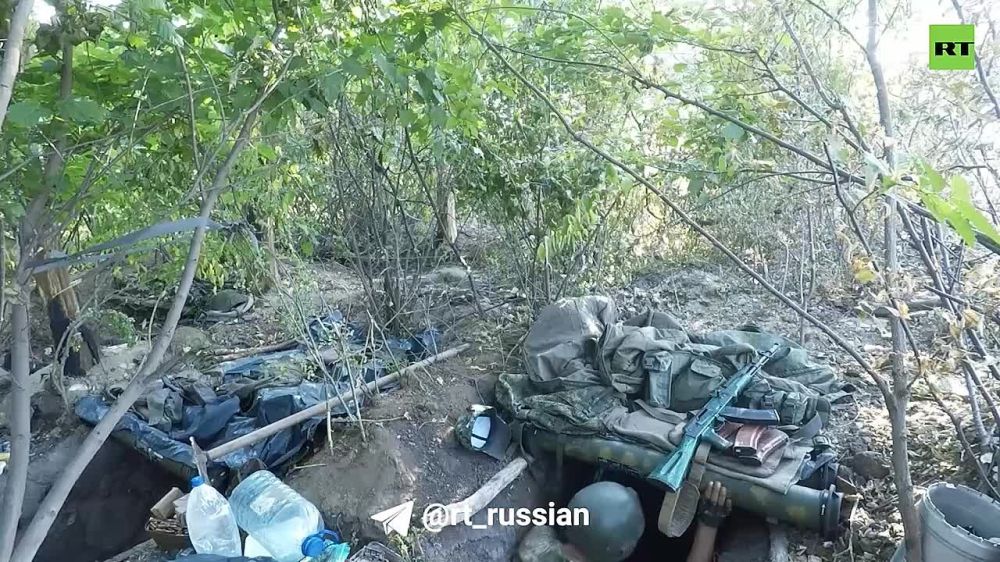 ������ �������: �������� ������� ���� ���. ������ ������ ���������