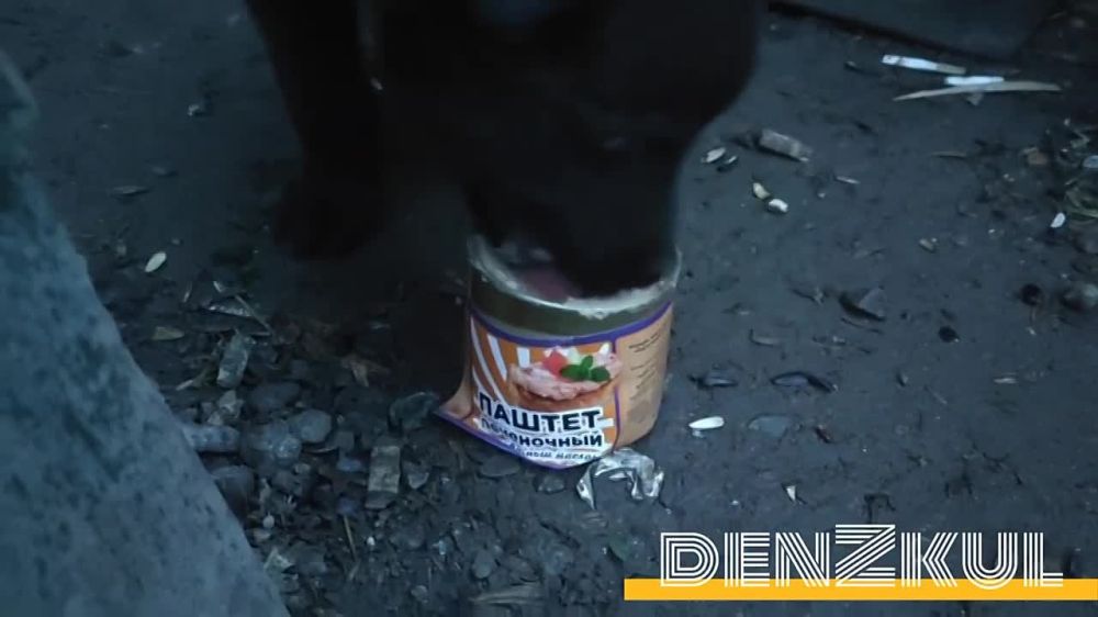 ����� ������: ������ �� ��������� �� ����� ������