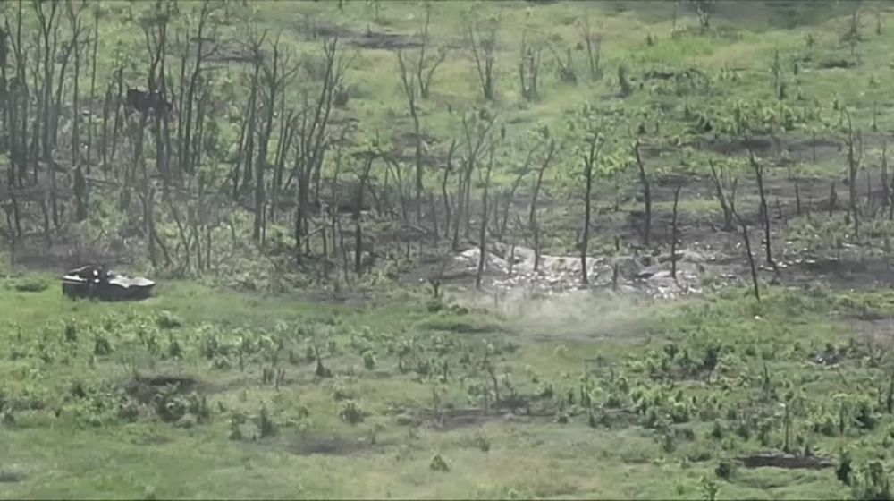 "������� �����, ����� �����"