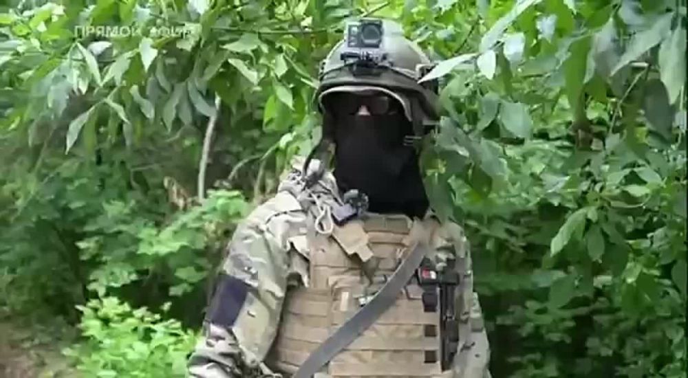 ����� �����: ���� ������ ���� ����������: