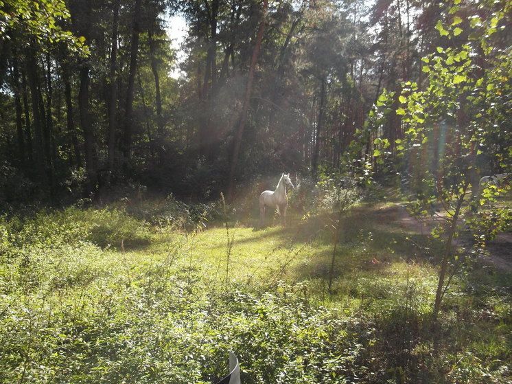 ������� ��� �������� ��������� ��� ���������, �������� �� ������ ������