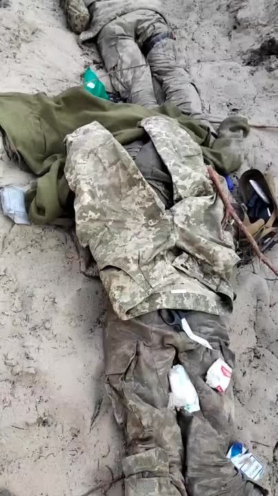 ��� ������ ���� ������� ������� ����� �� ������ � ���������, ��������� ��������