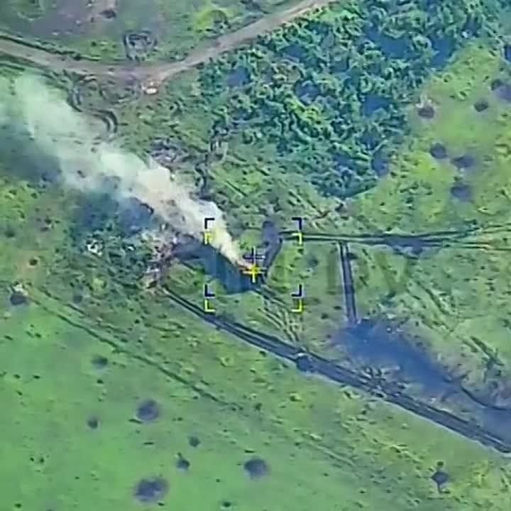 ������� ������������, ��� ���, ������ �����, ������� ����� �������� ��������� ������������� ��� �� 7 ����
