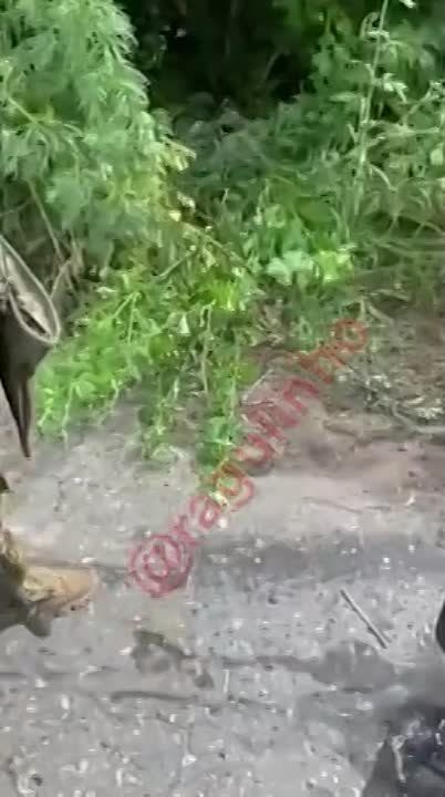 ������������� ���������� ���������� �������� ����� ����� ����������� � ������� �������: �������� ����� ����� ����������� � ������� � � ����