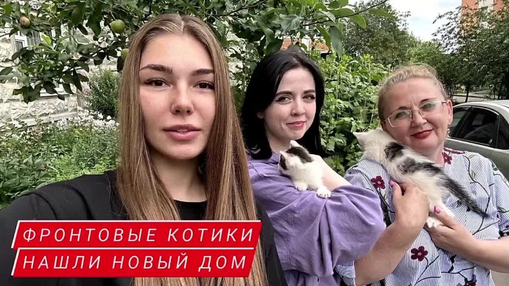 ������� �������: ������ ������.. ������� �� �������� ����� �� ���������� �������� �� ��� �������� �����-���� � ����...